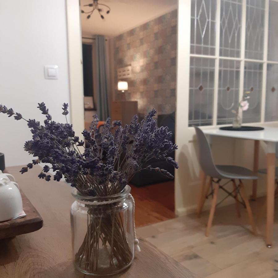 Apartman U Javoru Varnsdorf Eksteriør billede
